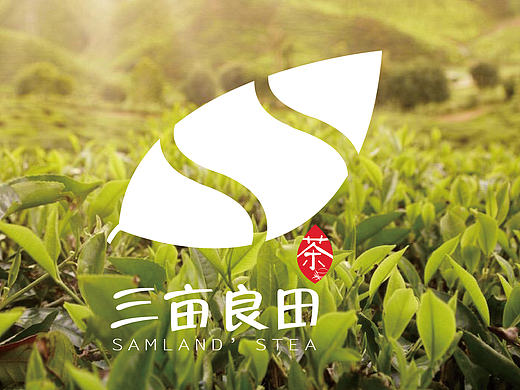 “三亩良田