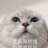 yeegahun的头像