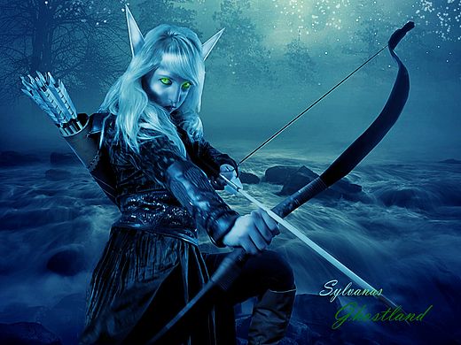 大猫魔兽世界十二年纪念 ——  幽暗森林的精灵