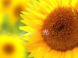 光#大家来用字#