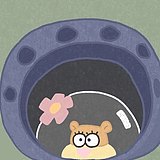 经验X3的头像
