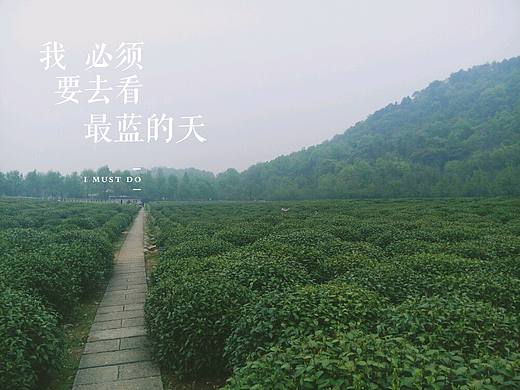 在路上