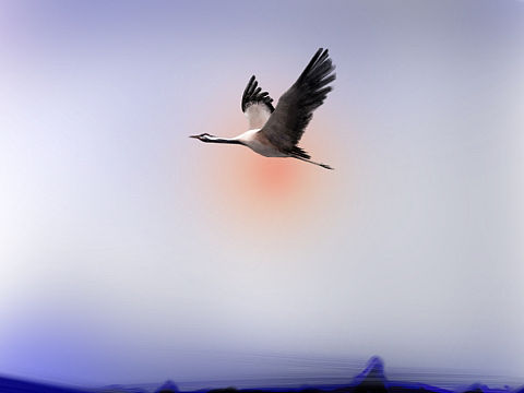 #飞羽#（个人主页-ZNTA2OTI3Njg=） - 绘本 - 站酷设计师可乐百合原创素材 - 站酷ZCOOL