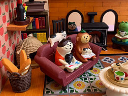 日式猫猫聚餐摄影