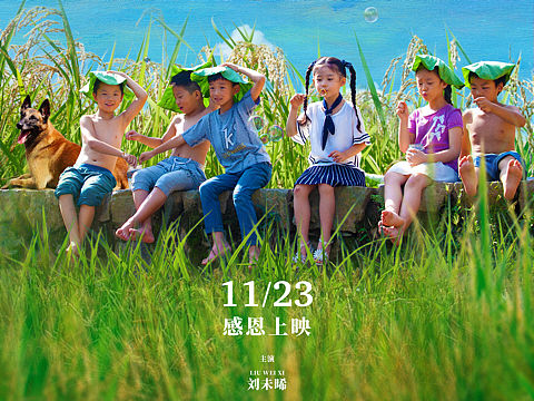 电影《奶奶的家》主海报