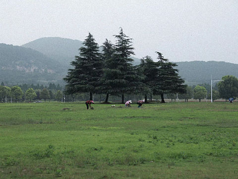 与荒野