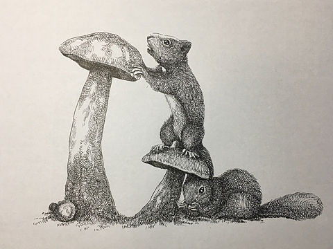 干货