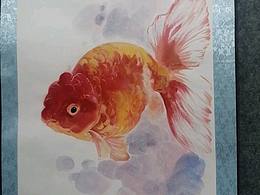 直播作品