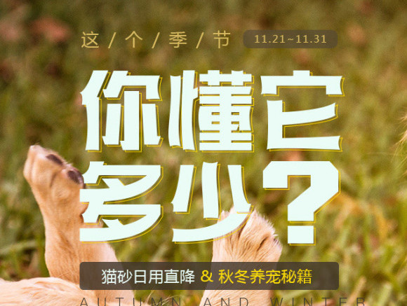 养宠秘籍