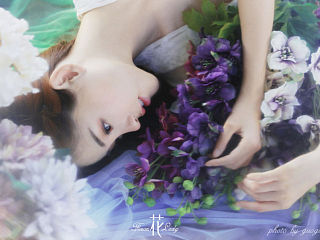 flower lady Ⅳ