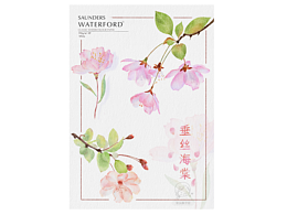 iPAD水彩 | 春日垂丝海棠图鉴