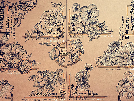 【復(fù)古插畫】莎翁花園（個(gè)人主頁(yè)-ZNjEyMTM5MTI=） - 藝術(shù)插畫 - 站酷設(shè)計(jì)師奇牙CC原創(chuàng)素材 - 站酷ZCOOL