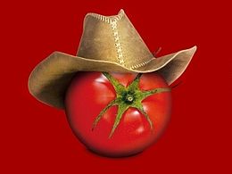 苦逼這幾年——地產(chǎn)篇