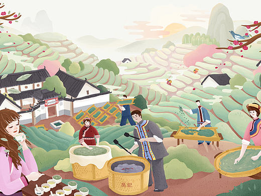 吾雨白茶包装插画