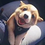 UI文先生的头像