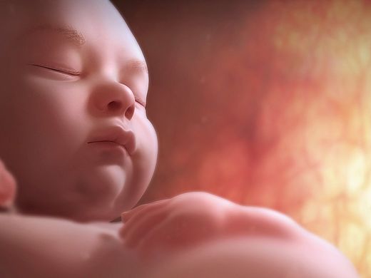 baby（個人主頁-ZMTQ0NTczNDg=） - 人物/生物 - 站酷設(shè)計師jojomxj原創(chuàng)素材 - 站酷ZCOOL