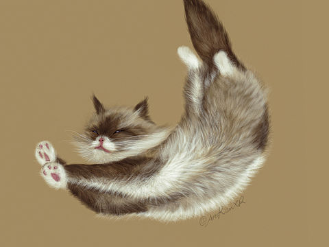 写实猫（个人主页-ZNDg3NTM3OTI=） - 概念设定 - 站酷设计师卡像RE原创素材 - 站酷ZCOOL