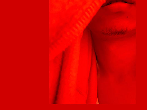 红（个人主页-ZMzMyMDIzMjQ=） - 人像摄影 - 站酷设计师动物感伤原创素材 - 站酷ZCOOL