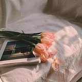 linlin林的头像