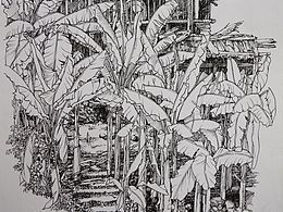 黑白装饰画
