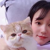 温可可的小依赖的头像