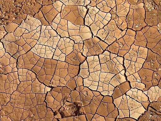 龟裂…（个人主页-ZNTE0MzkzMDQ=） - 其他摄影 - 站酷设计师狮子23原创素材 - 站酷ZCOOL