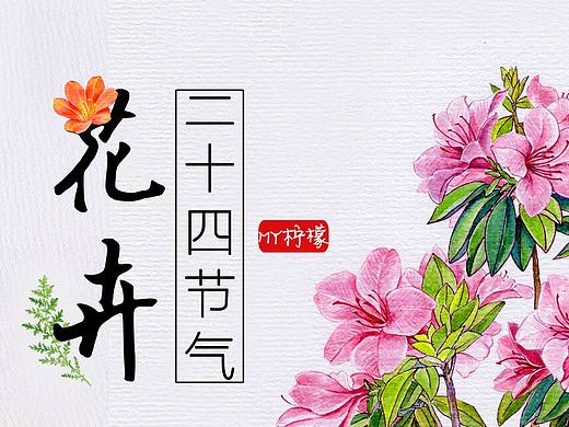 二十四节气花卉插画