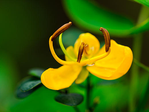 春暖花开的季节
