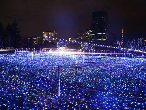 六本木圣诞灯展
