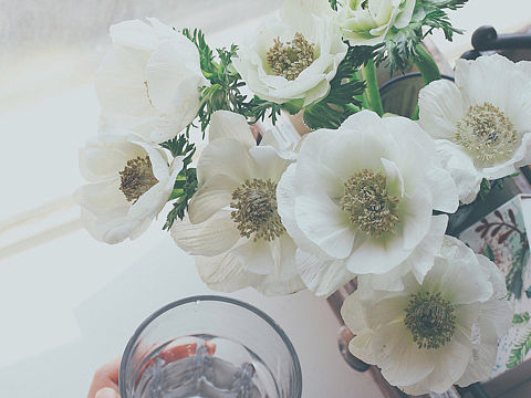 有花的日子（个人主页-ZMzM1OTYyNjg=） - 产品摄影 - 站酷设计师BoomBoomBloom原创素材 - 站酷ZCOOL