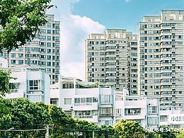 萬物可愛，人間值得