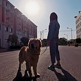 倩小聂的头像