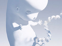 醫(yī)學(xué)插畫