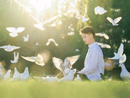 白鸽与少年