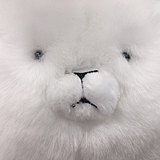 Q_1hang的头像