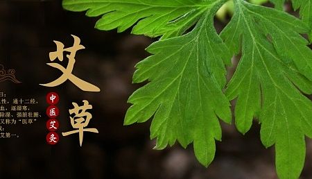 中医养生 艾灸