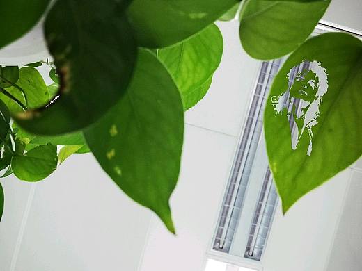 《遇见,逼利简》