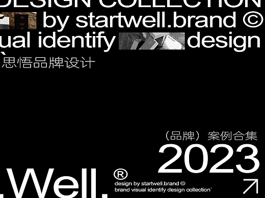 2023年度-思悟品设-品牌设计精选案例