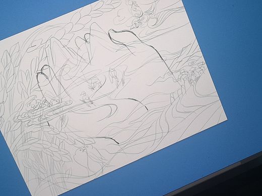 杂粮包装插画心得记录