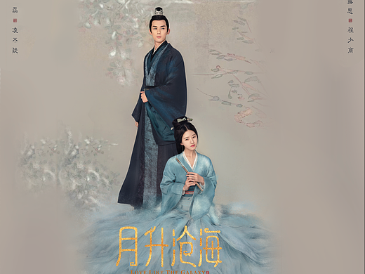 电视剧《月升沧海》慧极必伤版海报