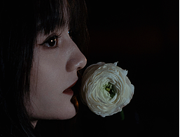 黑色幽默 | 这份冷酷你感受到了吗