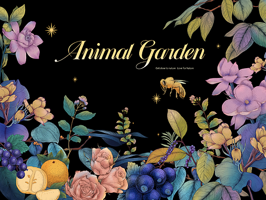 彩色钢笔版画|Animal garden动物花园之冬与春的味道