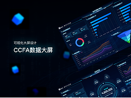 项目总结-CCFA数据大屏