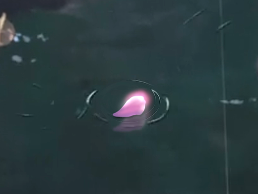 山海部份界面动效预演