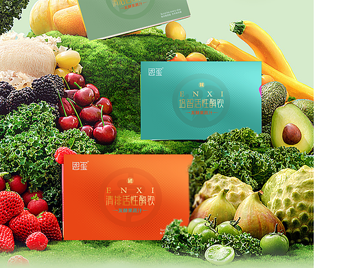 尚道集团恩玺活性酵素设计