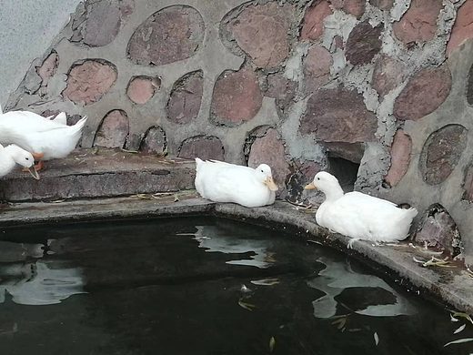 嘎嘎嘎嘎嘎嘎