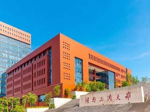 向严龙论新时代下大学引进校外导师的底气与地气