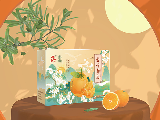 耙耙柑包装