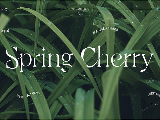 Spring Cherry护肤品丨品牌包装设计