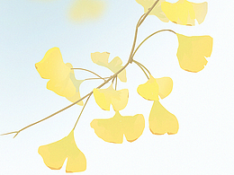 银杏叶子速途练习